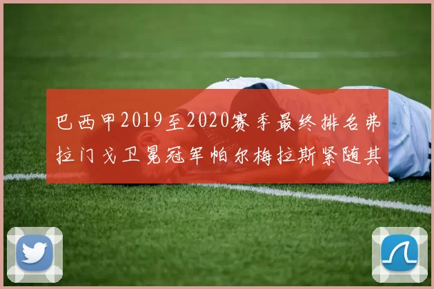 巴西甲2019至2020赛季最终排名弗拉门戈卫冕冠军帕尔梅拉斯紧随其后