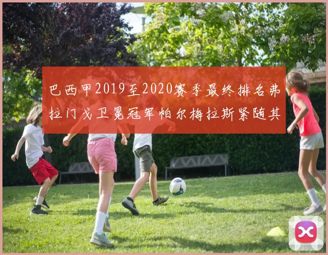 巴西甲2019至2020赛季最终排名弗拉门戈卫冕冠军帕尔梅拉斯紧随其后