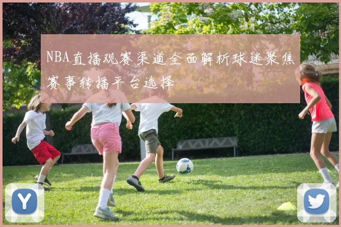 NBA直播观赛渠道全面解析球迷聚焦赛事转播平台选择