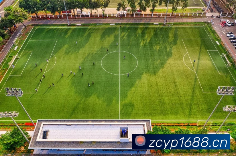 多媒体互动体验